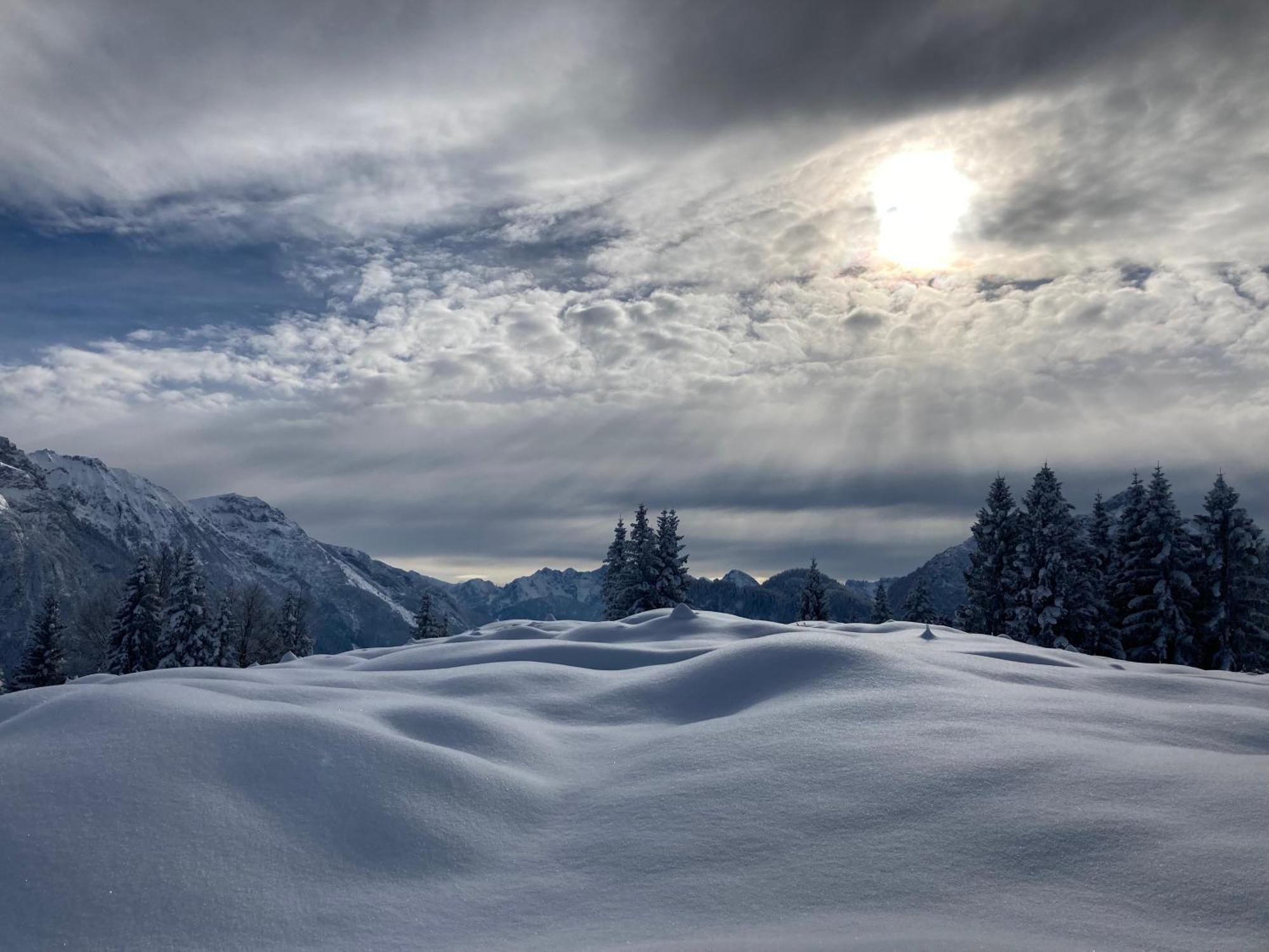Oefnerhof Daire Leutasch Dış mekan fotoğraf