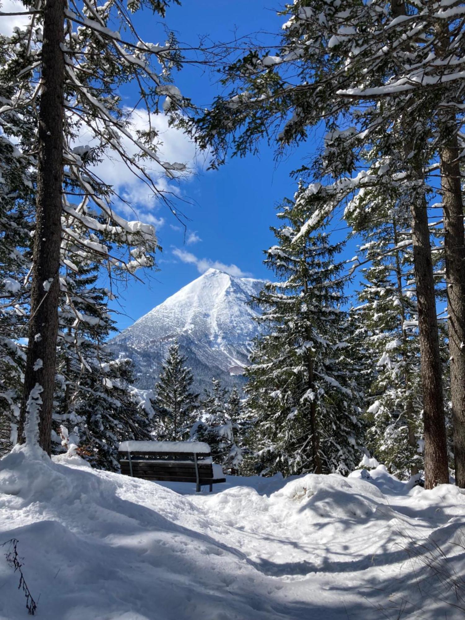 Oefnerhof Daire Leutasch Dış mekan fotoğraf